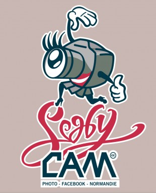 Logo Scaby Cam